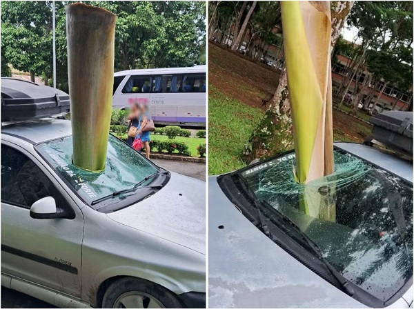 Galho De Rvore Cai Em Cima De Carro E Atravessa Para Brisa Em